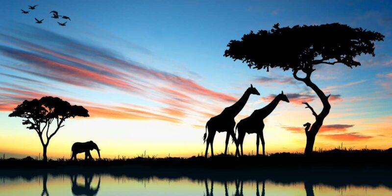 safari au Kenya