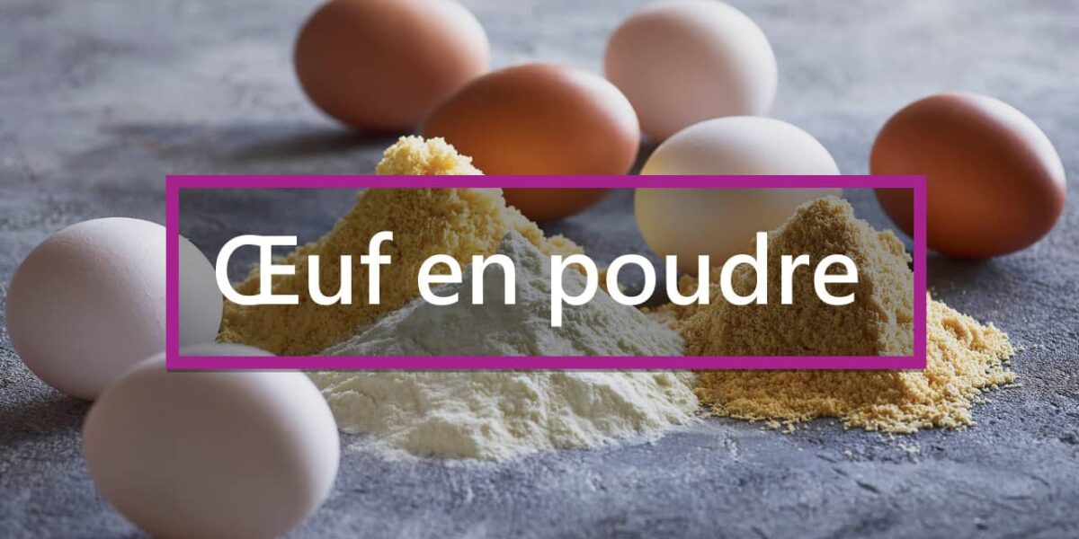Blanc Oeuf En Poudre Oeuf Powder Poudre Huevo Clara Polvo 125g Funcakes Toquedechef 27 Œuf en poudre : c'est quoi et pourquoi l'utiliser