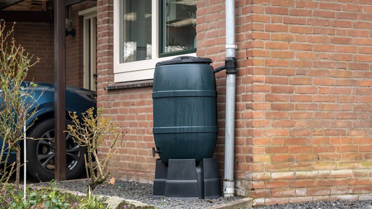 Récupérateur d'eau de pluie : conseils pour l'installer et l'utiliser